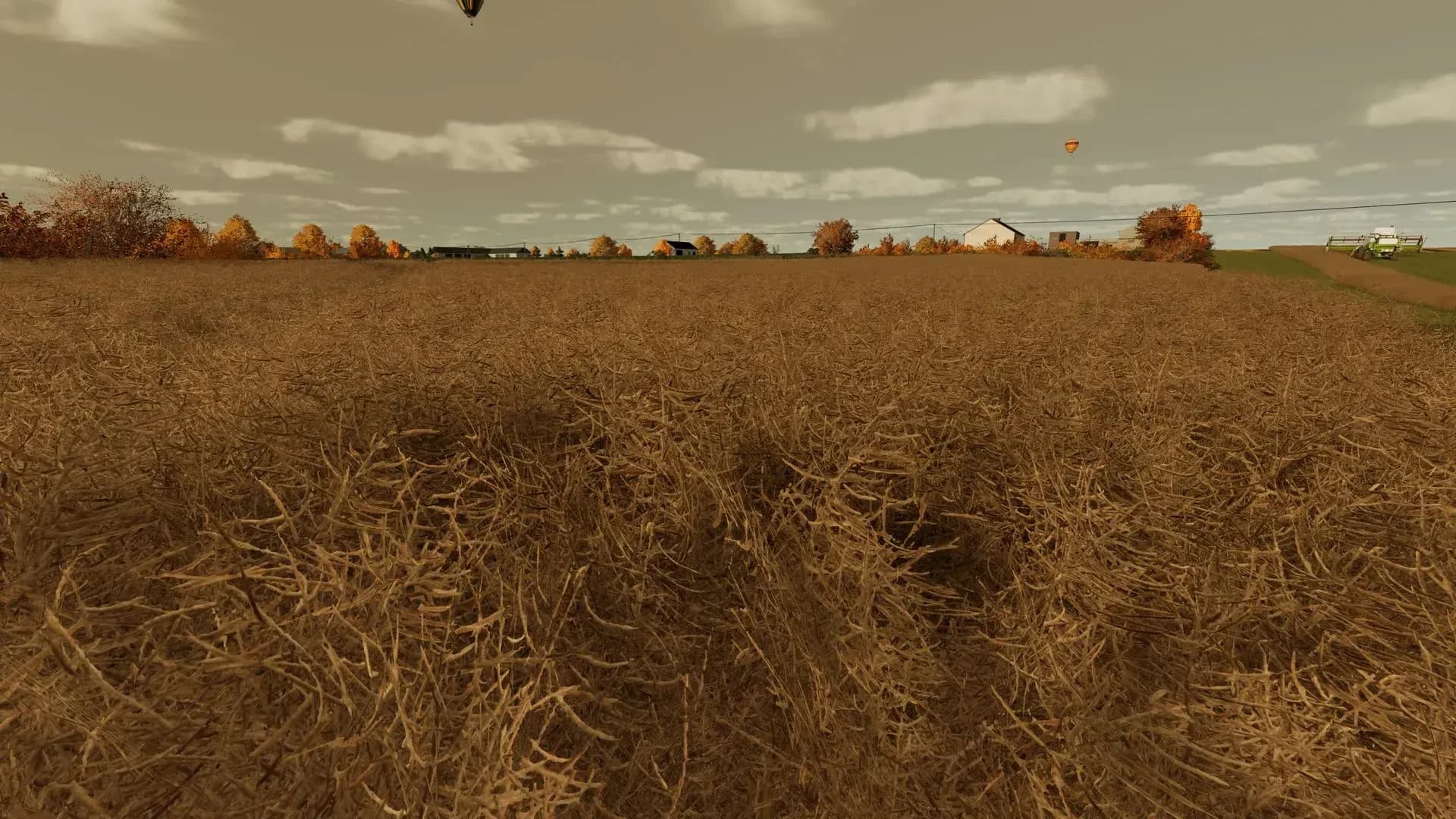 Raps Texture 4