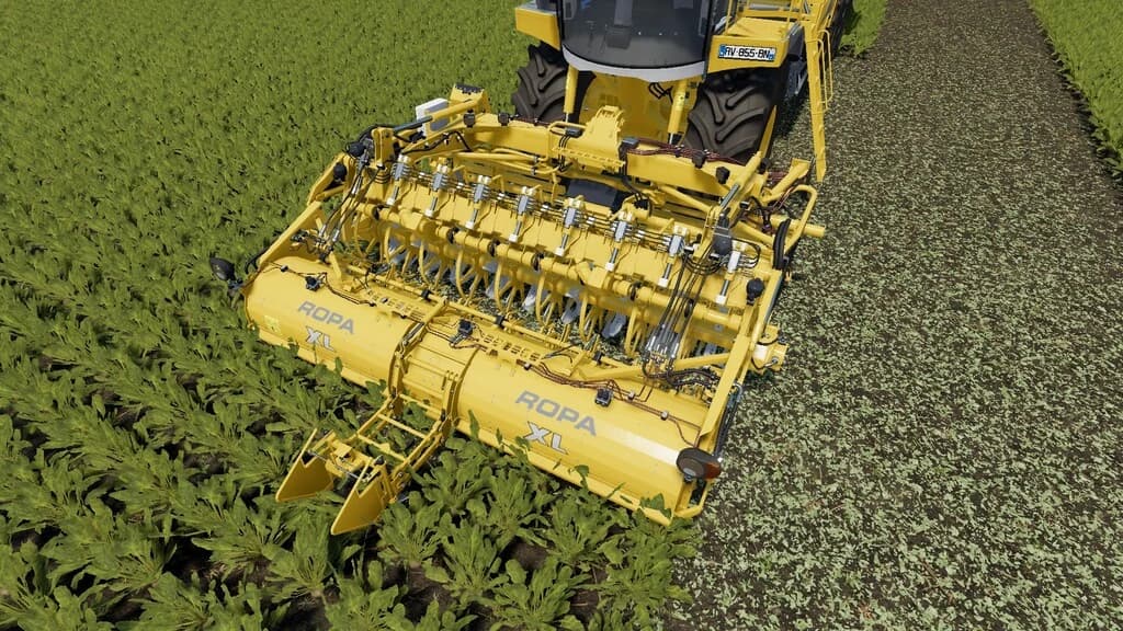 Ropa XL 3