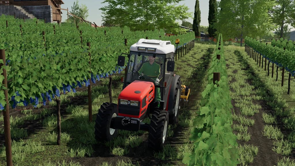 SDF VINEYARD PACK 5