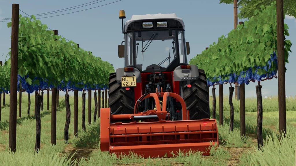 SDF VINEYARD PACK 4