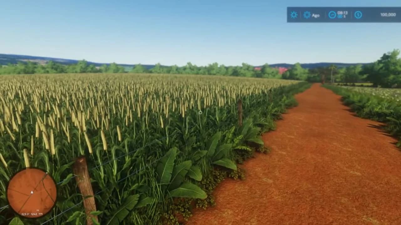 SANTA AMELIA FARM