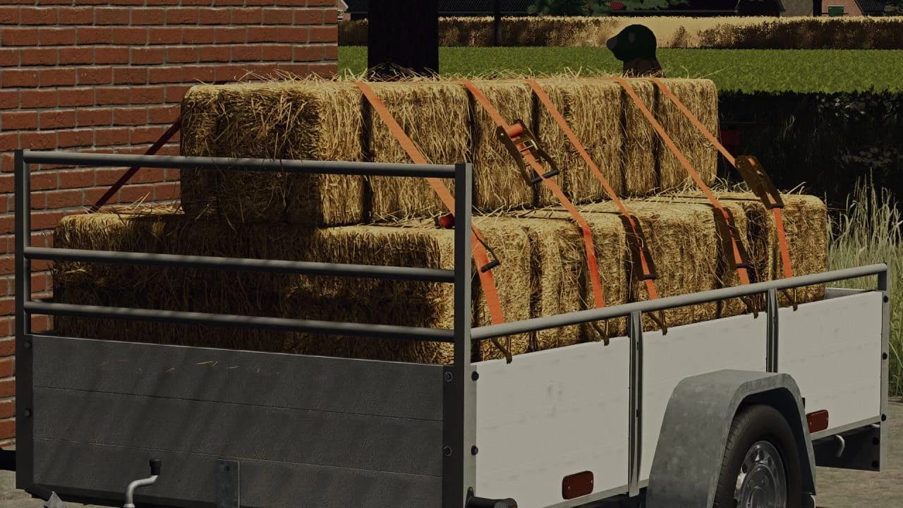 SARIS TRAILER DW 150 5