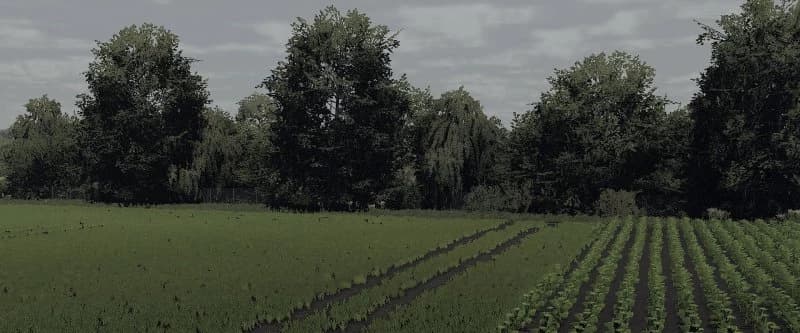 SAVE + MODPACK ŹDZIECHÓW