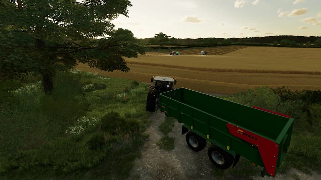 SAXTHORPE FARMS 5