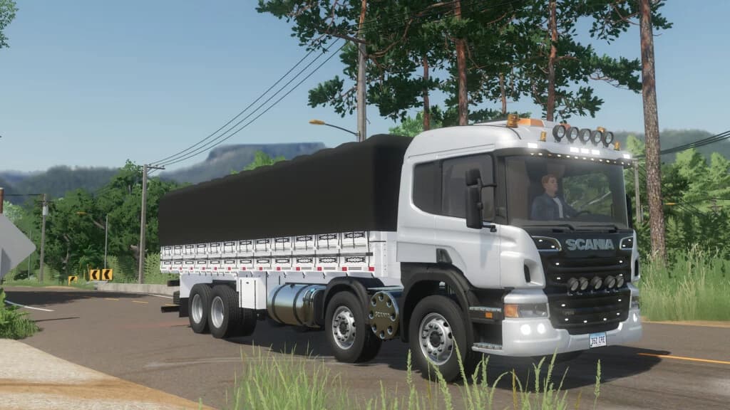 SCANIA P310 2