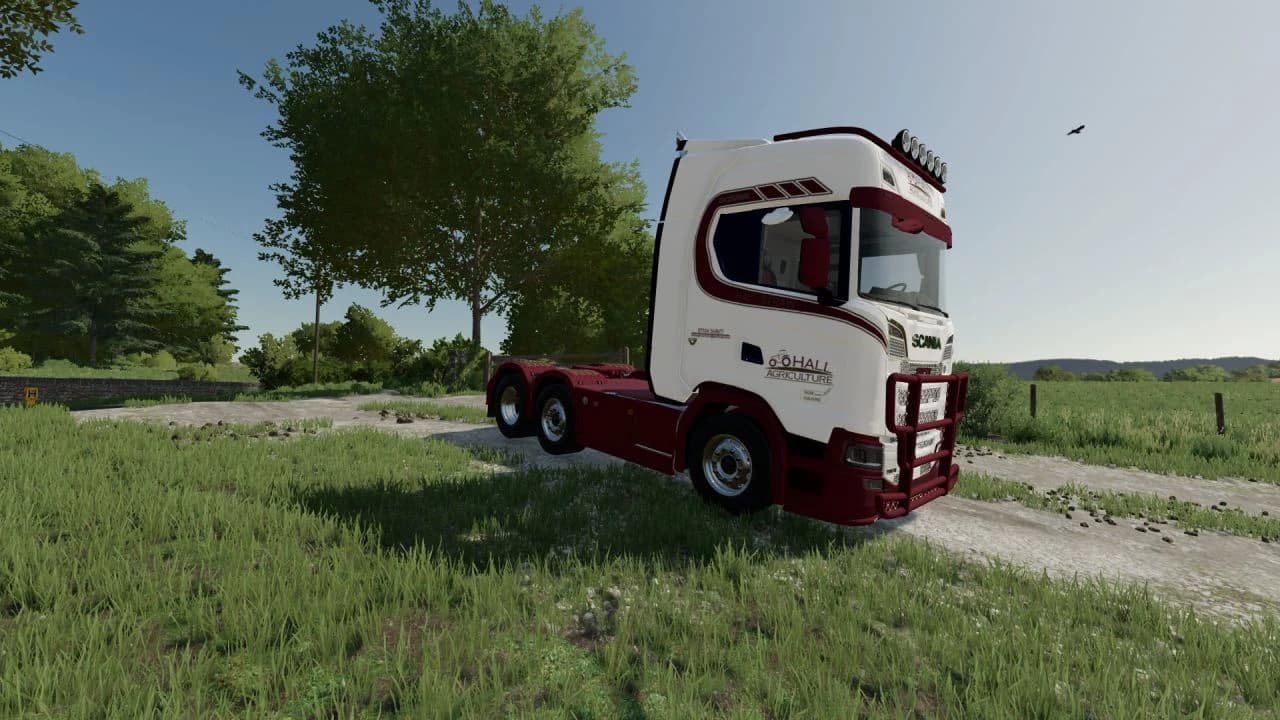 SCANIA S HALL AGRICULTURE 2