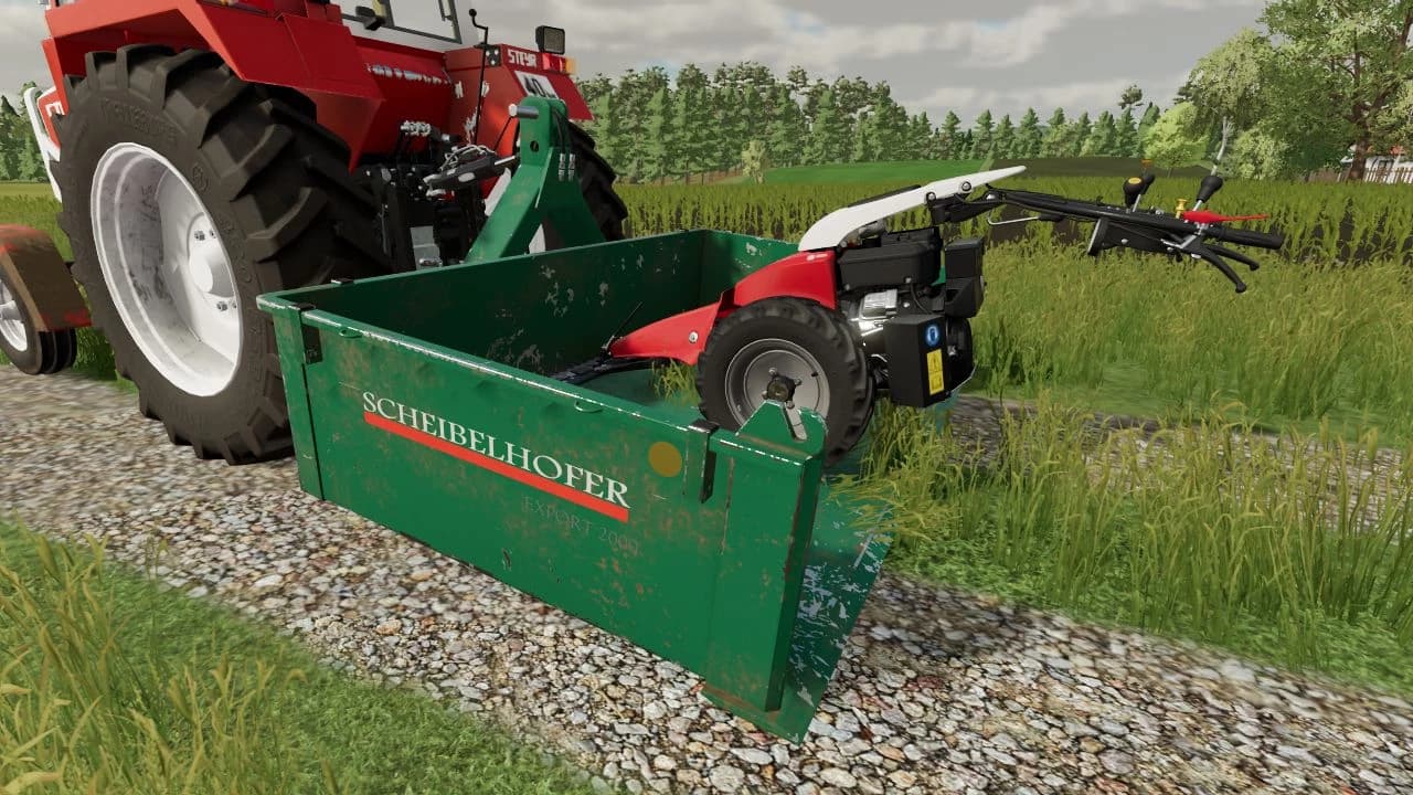 SCHEIBELHOFER EXPORT 2000
