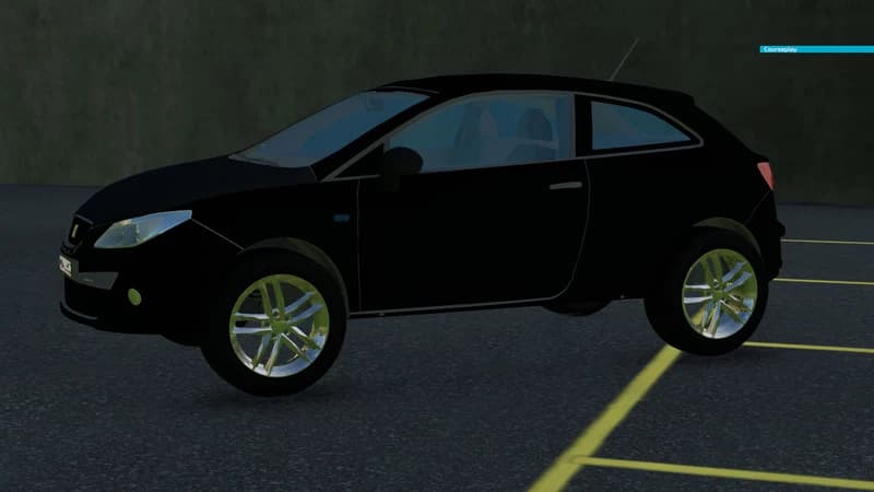 SEAT IBIZA KOTTI 5