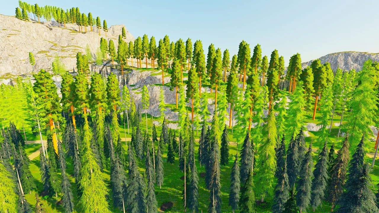 SEQUOIA KINGS 5