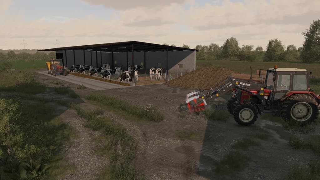 SHED COW BARN 3