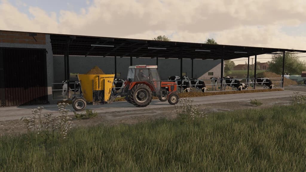 SHED COW BARN