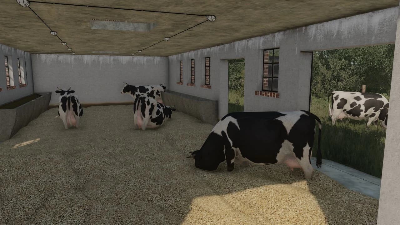 SHED WITH COWS AND GARAGE 4
