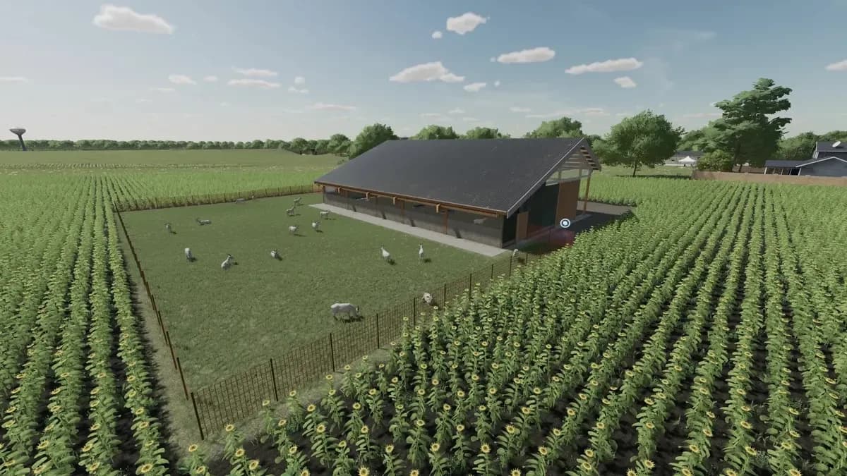 SHEEP BARN WITH GOATMILK 5