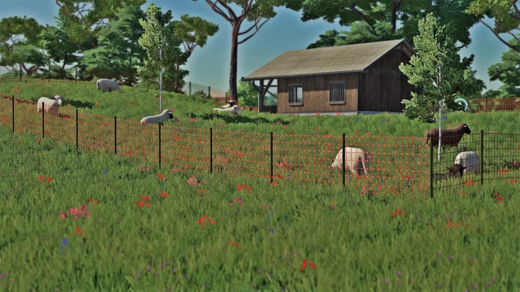 SHEEP PASTURE 4