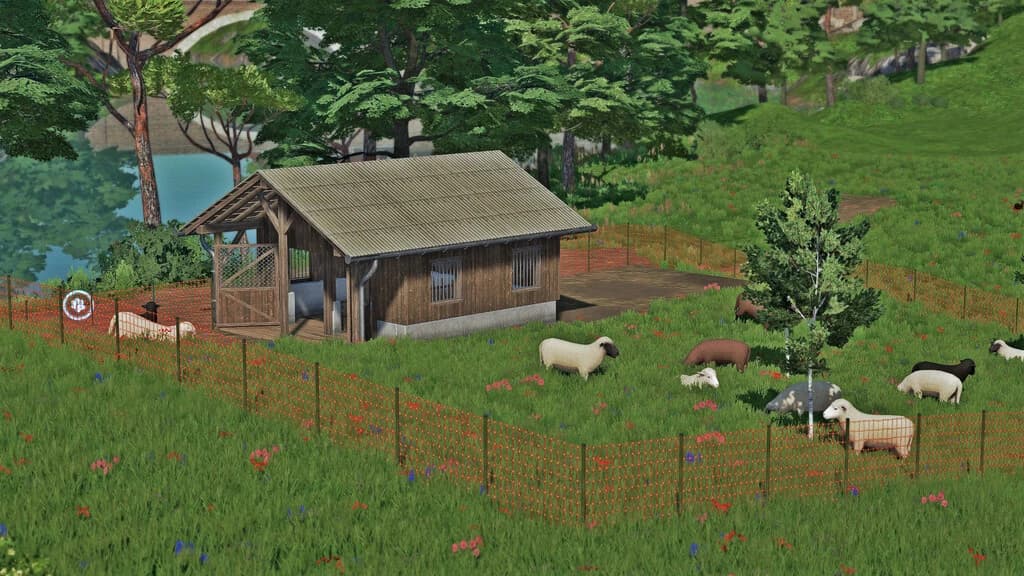 SHEEP PASTURE 3