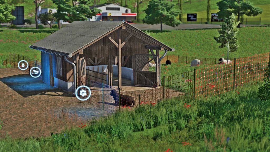 SHEEP PASTURE
