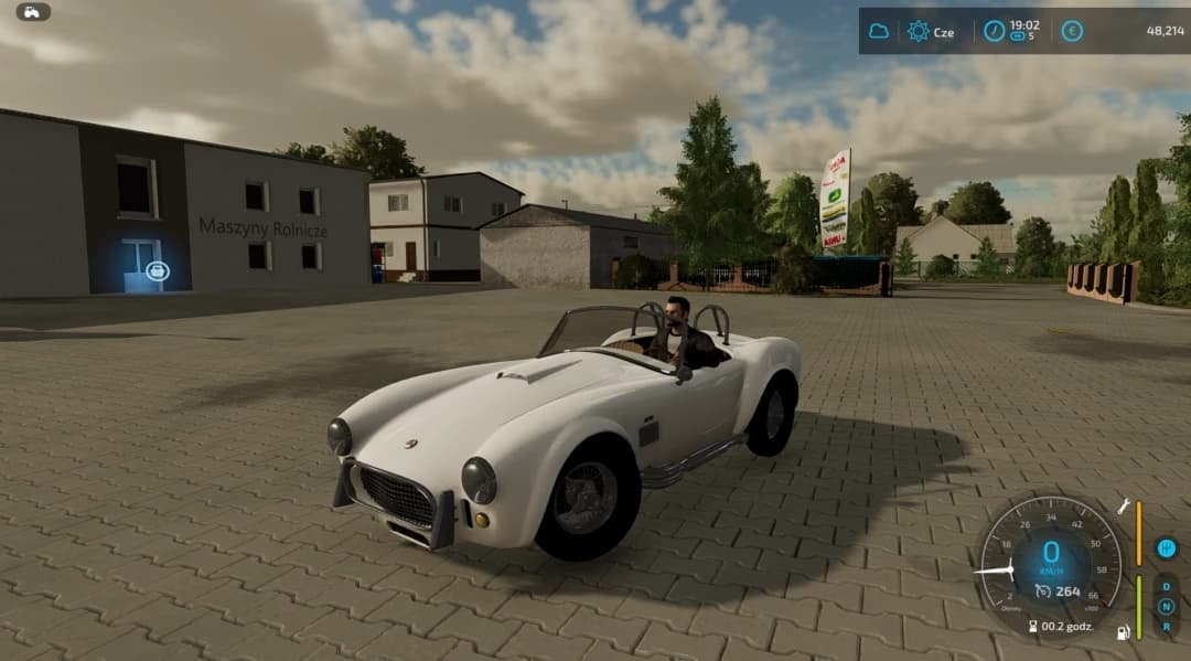 SHELBY COBRA ROADSTER 4