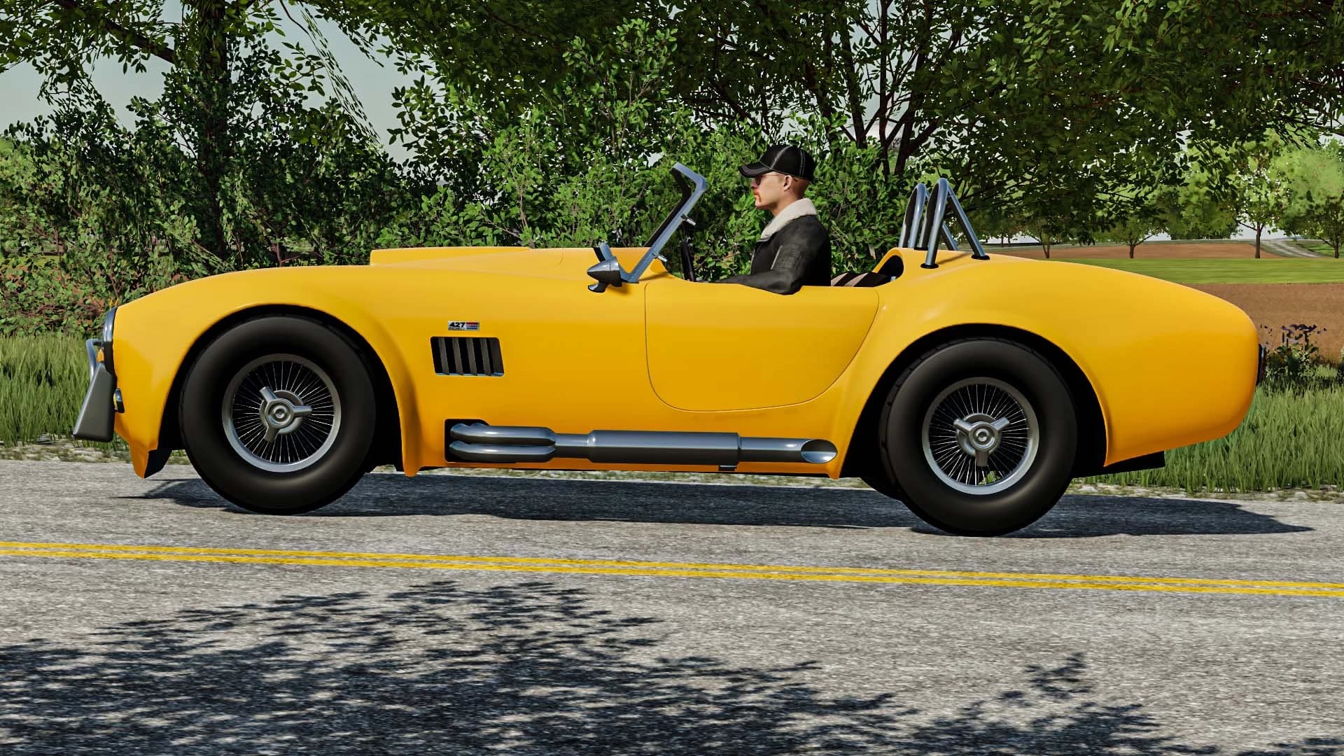 SHELBY COBRA 4