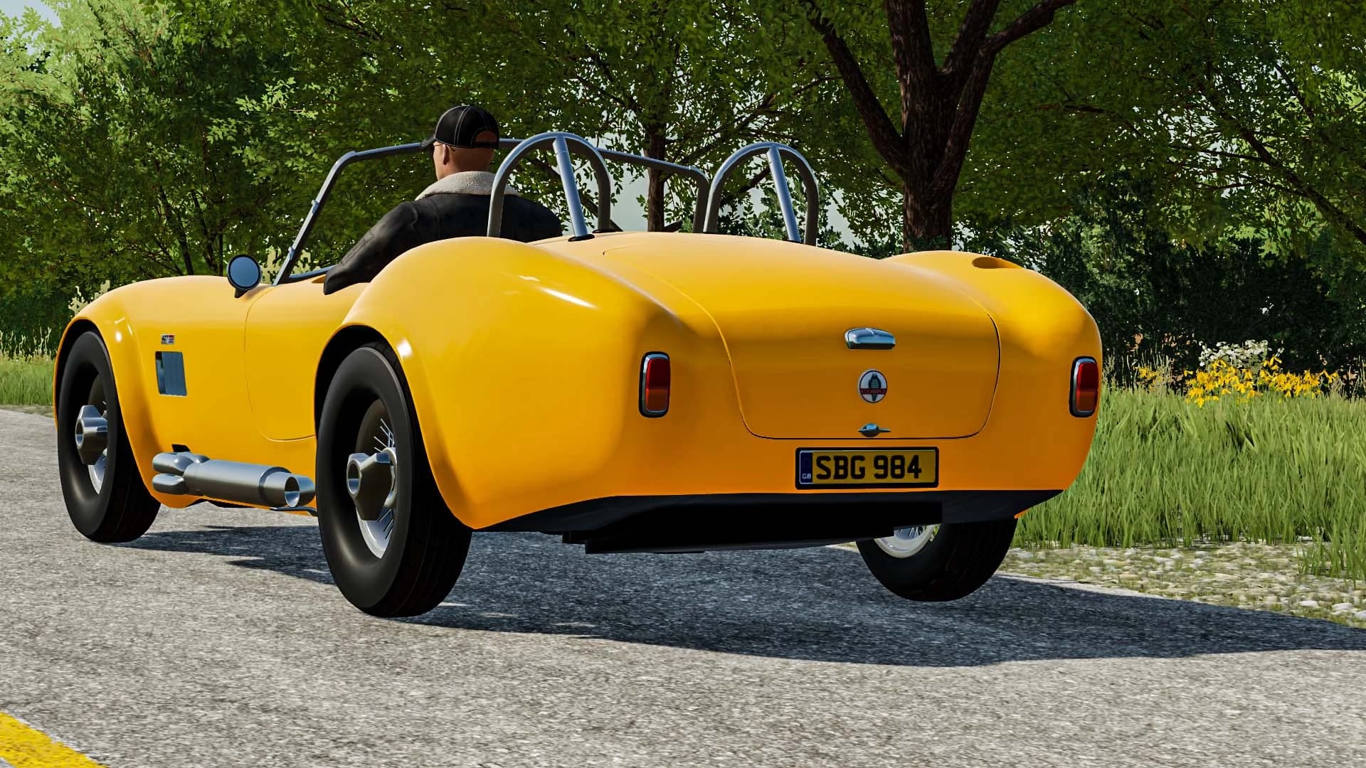 SHELBY COBRA 2
