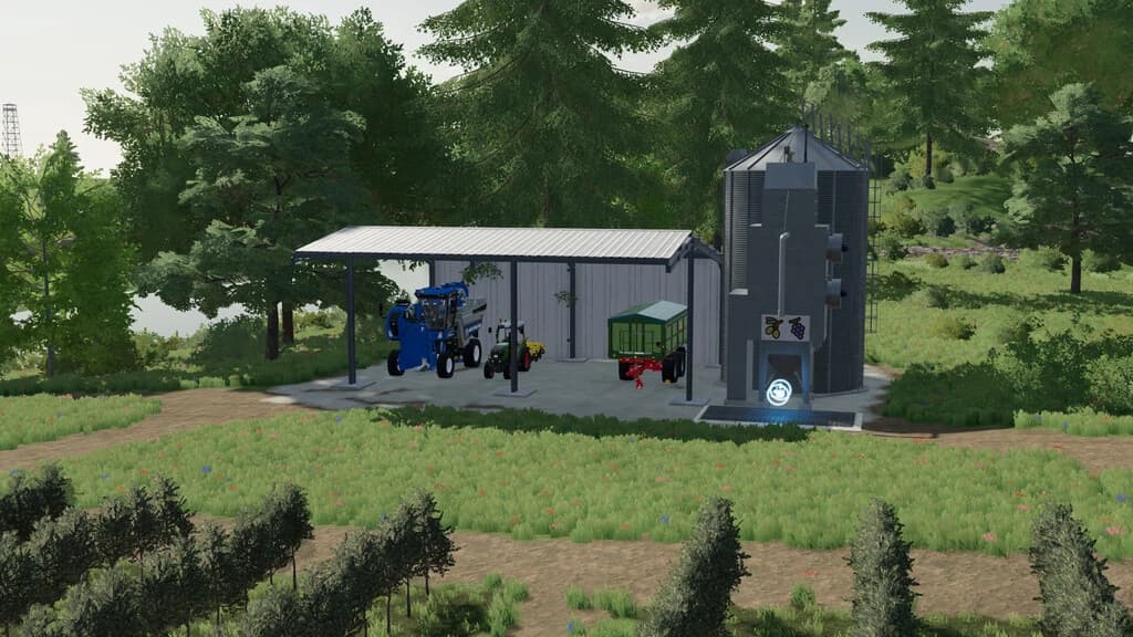 SILO GRAPE AND OLIVE 4
