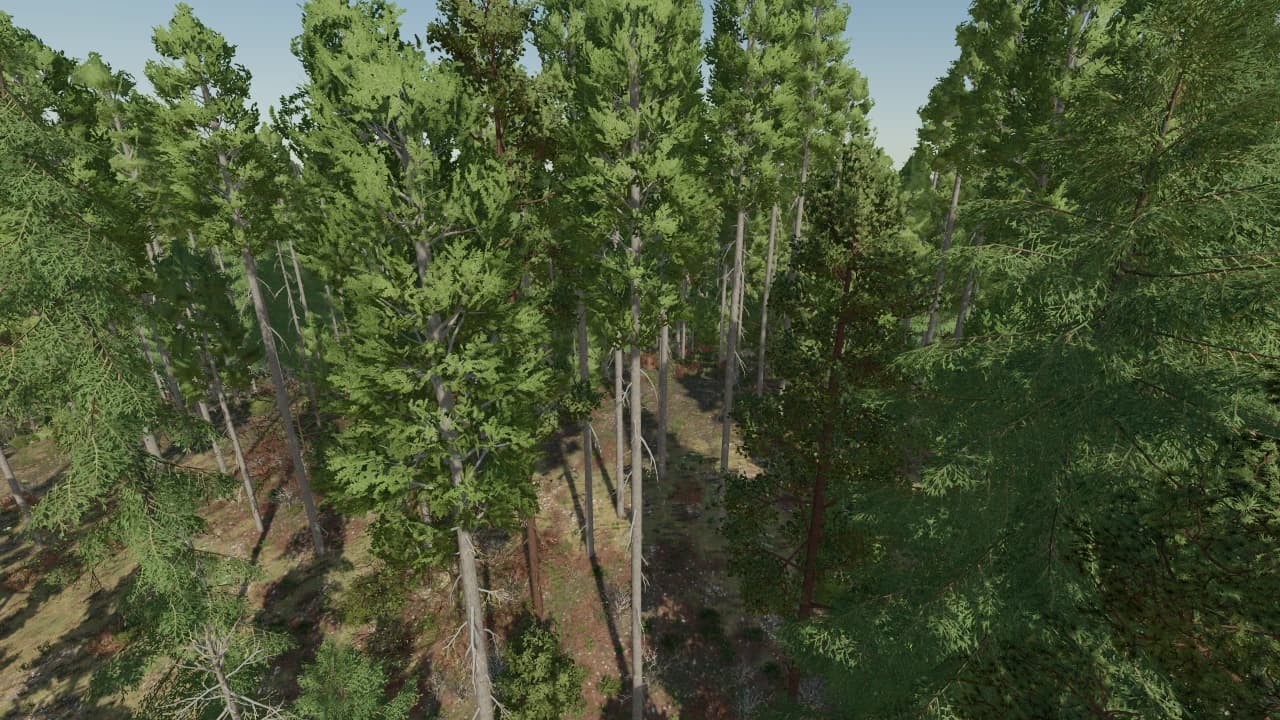 SILVER RUN SAVE GAME (MORE TREES ADDED) 2