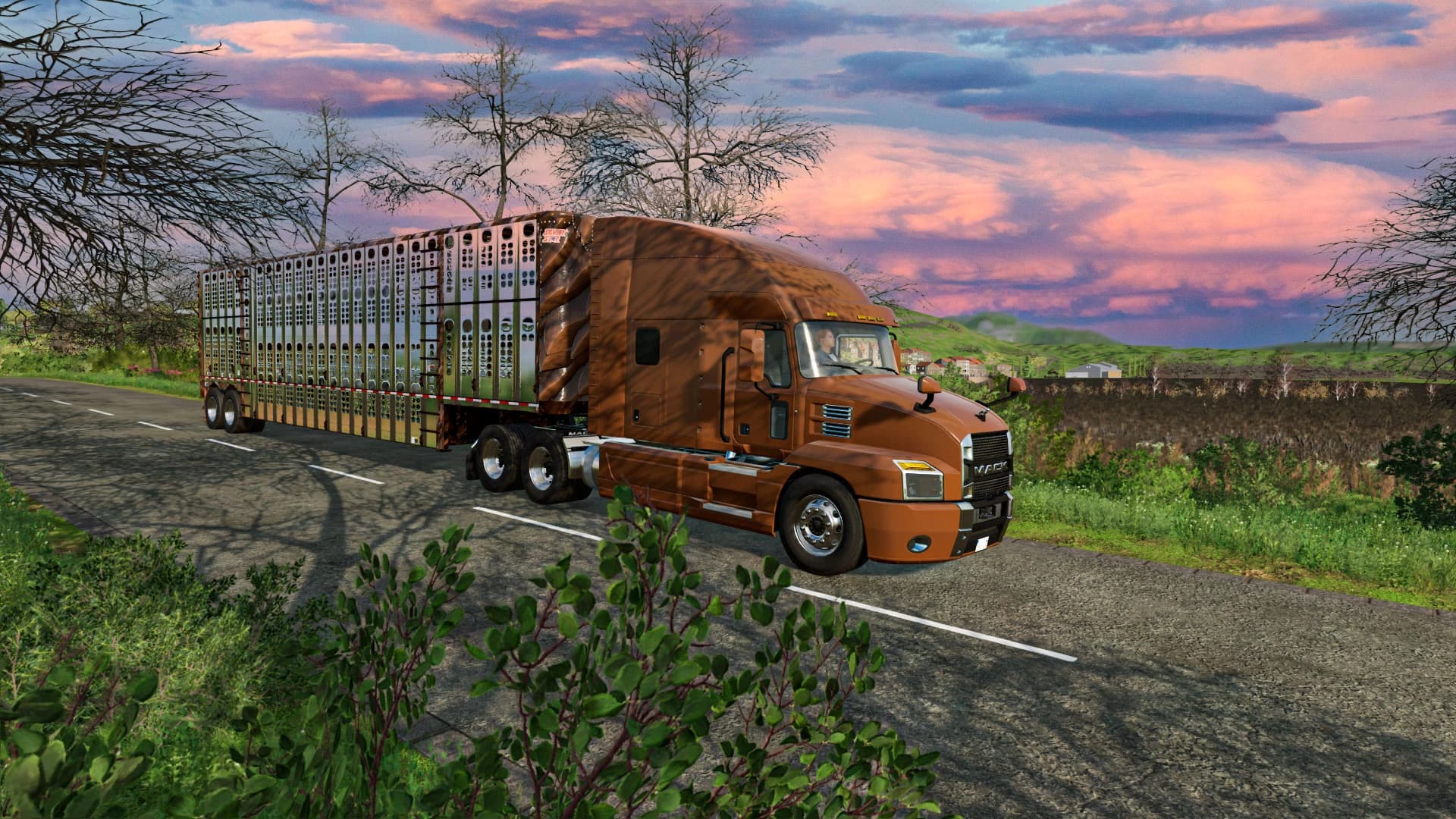 SILVERSTAR HORSE TRAILER 3