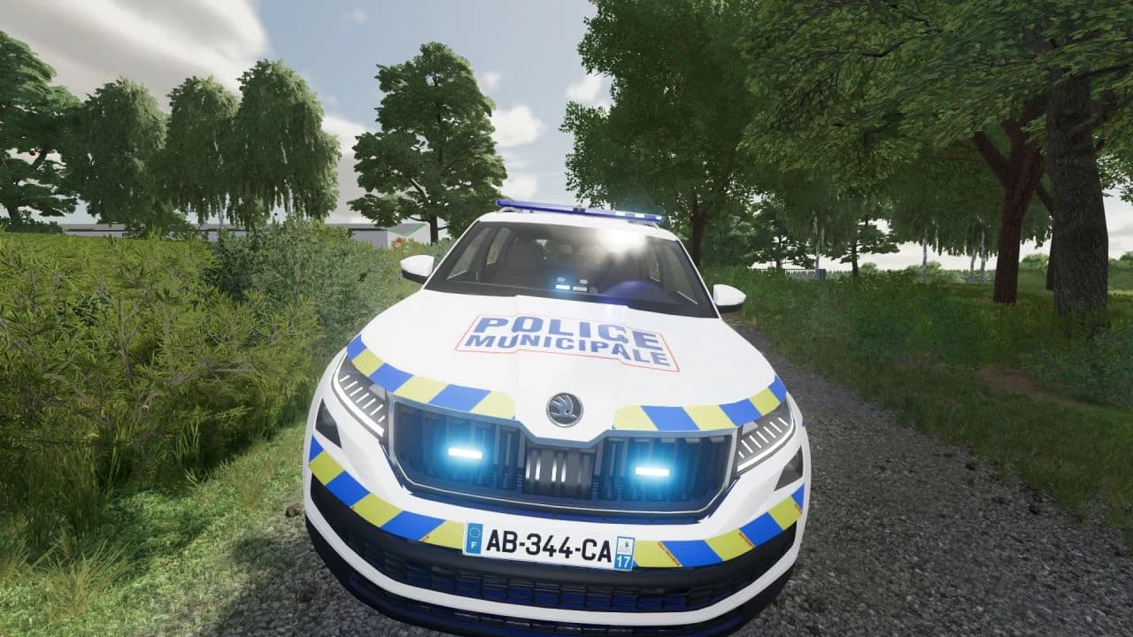 SKODA KODIAK 2019 PM 3
