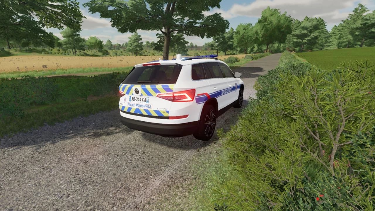 SKODA KODIAK 2019 PM 2