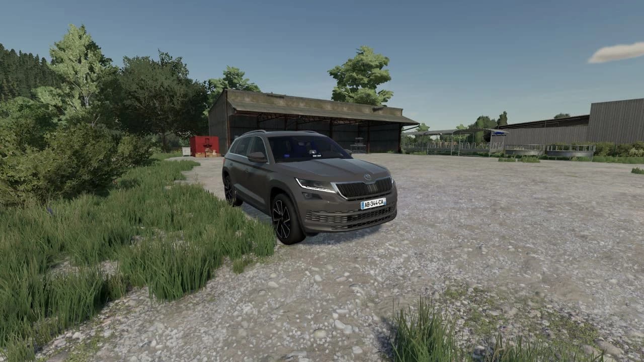 SKODA KODIAQ 2019 BAC 2