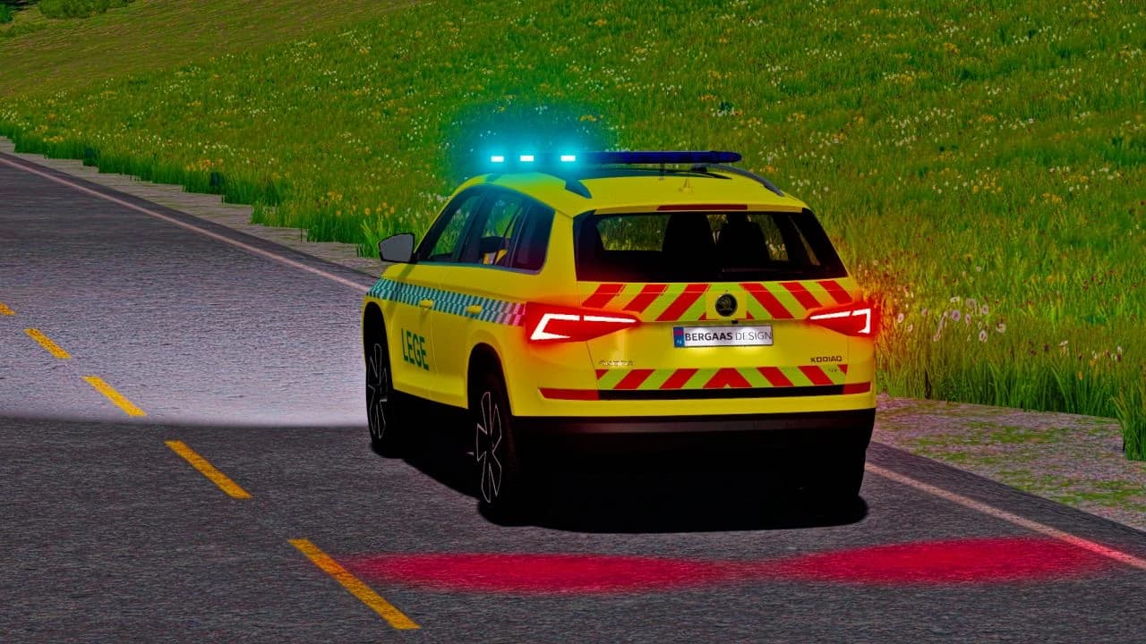 SKODA KODIAQ 2019 3