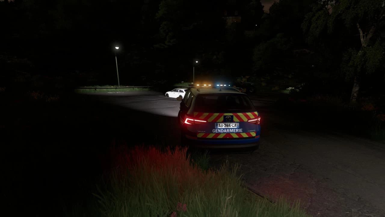 SKODA KODIAQ 2019 (SECOURS) 2