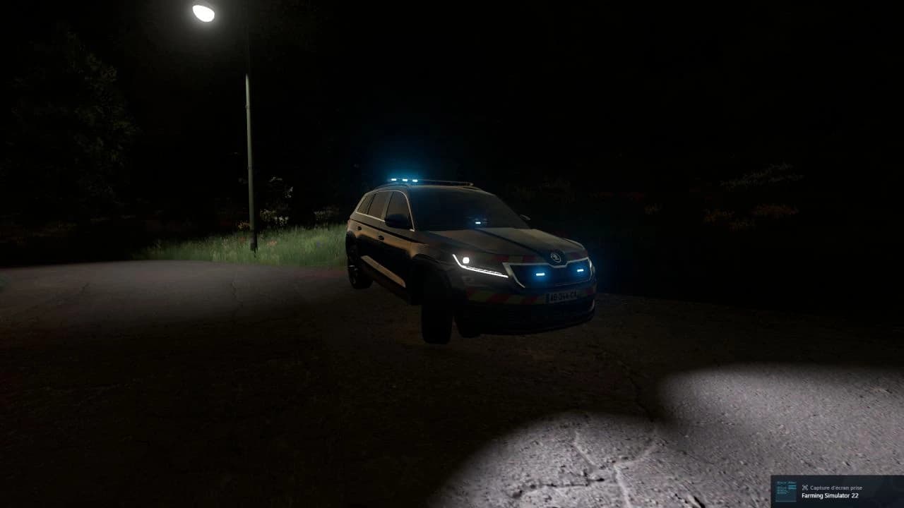 SKODA KODIAQ 2019 (SECOURS)