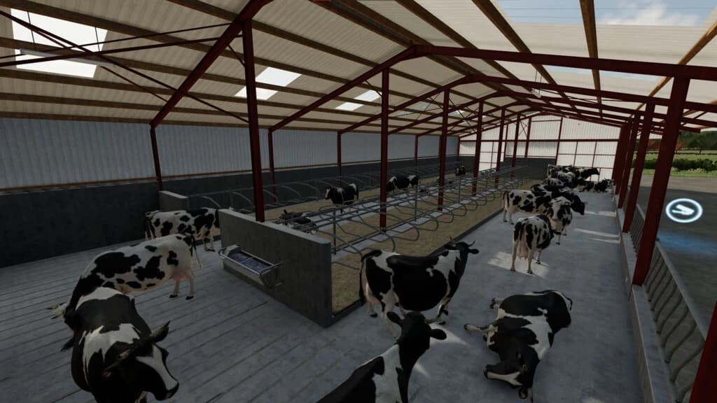 SLATTED COW SHED 4