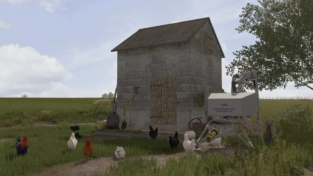 SMALL CHICKEN COOP 3