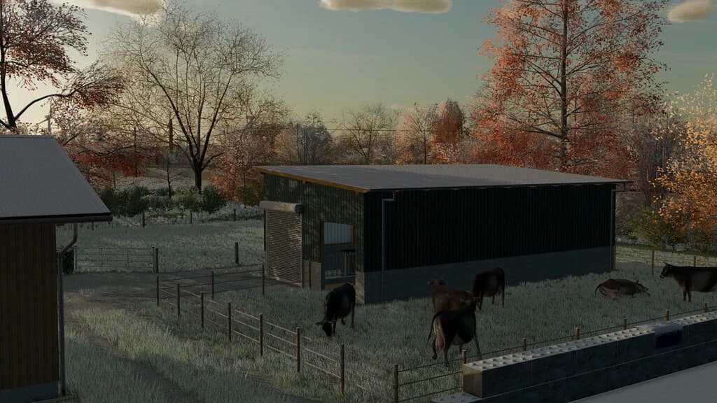 SMALL COWSHED 3