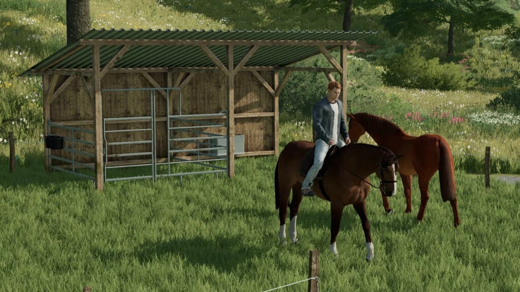 SMALL HORSE PASTURE 3