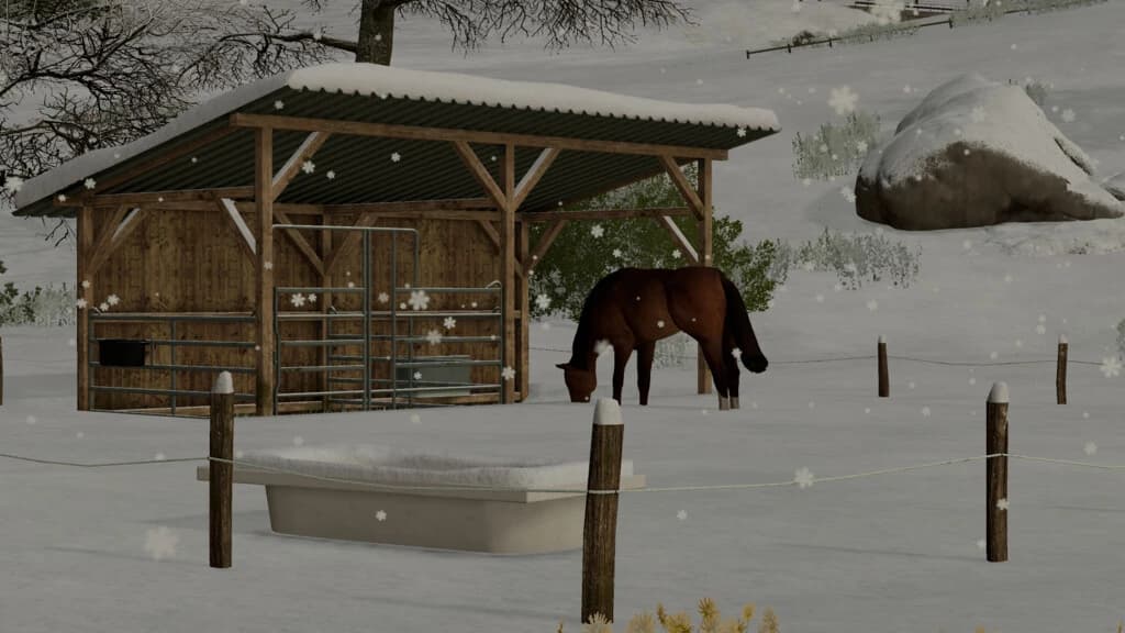 SMALL HORSE PASTURE 4