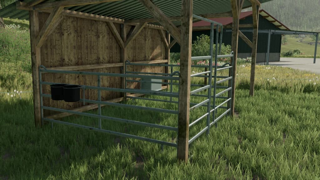 SMALL HORSE PASTURE 2
