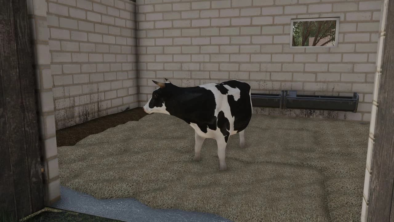 SMALL POLISH COWSHED 2