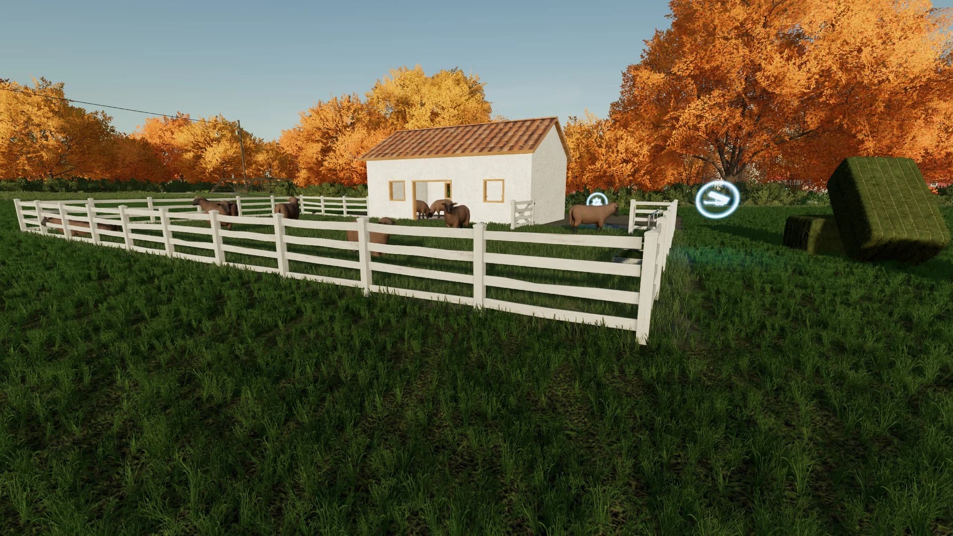SMALL SHEEP PASTURE