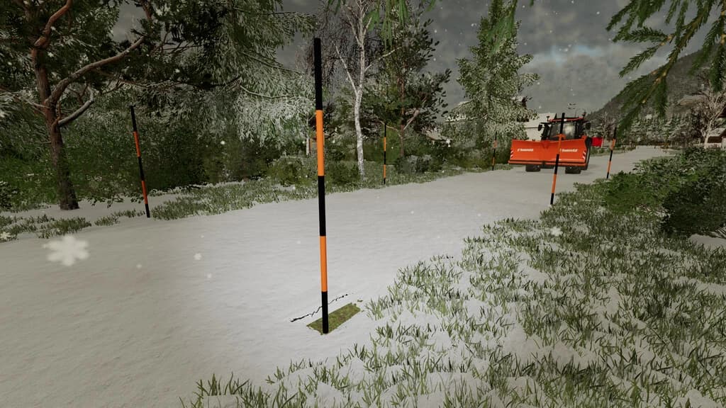 SNOW POLE 3