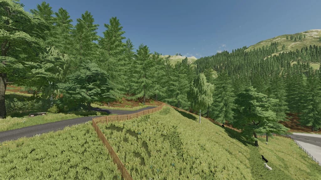 SOUTHERN BLACKFOREST 5