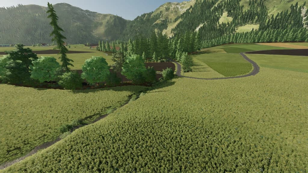 SOUTHERN BLACKFOREST 3