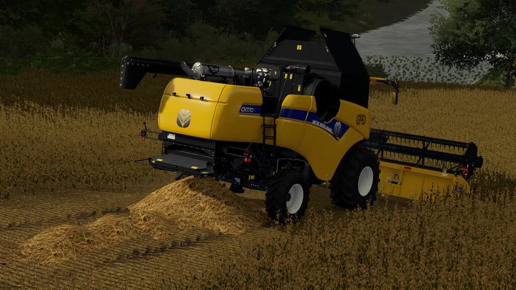 SOYBEAN STRAW 3