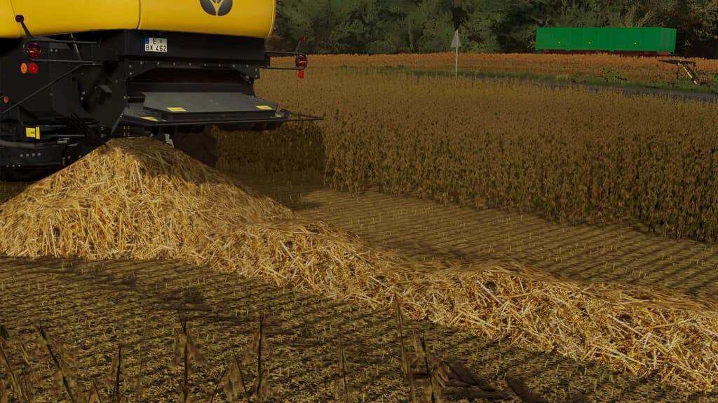 SOYBEAN STRAW 2