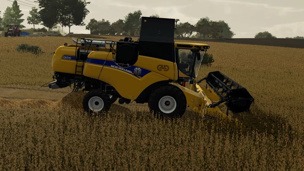 SOYBEAN STRAW