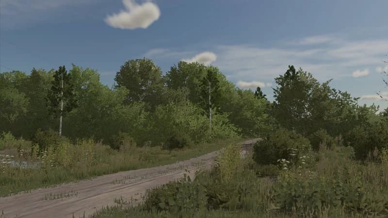 STAROWOSZYCE