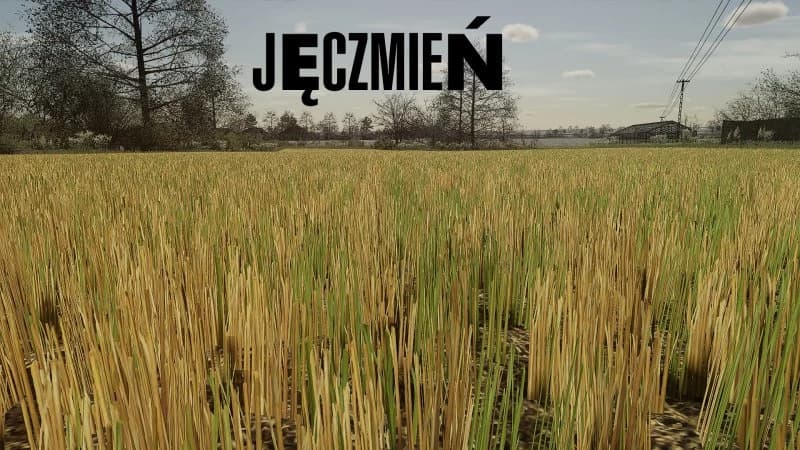 STUBBLE TEXTURE (WHEAT/BARLEY) 2