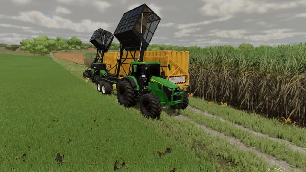 SUGARCANE TRANSPORT 3