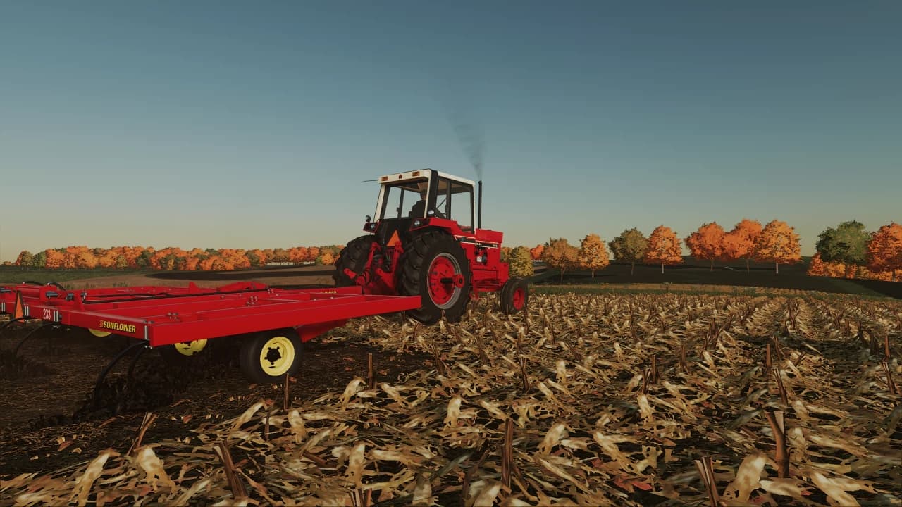 SUNFLOWER 233-19 3